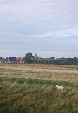 Kattendijke. Foto drhenkenstein